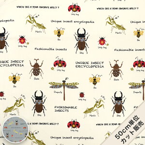 n l   100  z / lNэ} KTS6908 / 50cmP