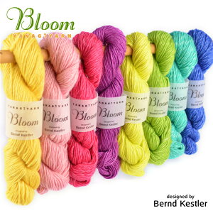 ю  E[ VN / YANAGIYARN(iM[) Bloom(u[) / IWi Bernd Kestler(xhEPXg[) R{