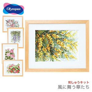NXXeb` hJ hイ Lbg / Olympus(IpX) hイLbg ɕ؂