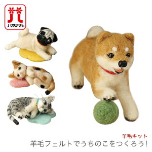 rуtFg Lbg Zbg / Hamanaka(n}iJ) rуLbg rуtFgł̂낤I