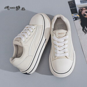 Xj[J[ fB[X [Jbg Xj[J[ LoX  ₷  U s  @p oCg V[Y  ItBX z JWA Vv t  H ~ t@