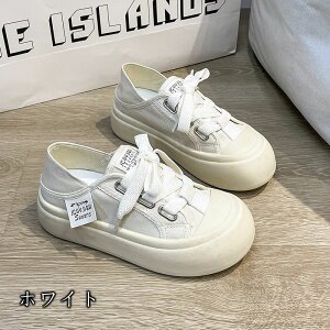 Xj[J[ fB[X [Jbg Xj[J[ LoX  ₷  U s  @p oCg V[Y  ItBX z JWA Vv t  H ~ t@