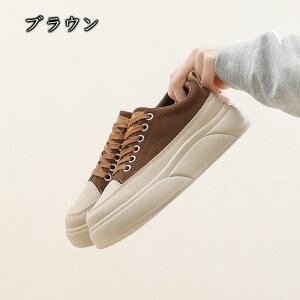  Xj[J[ Xj[J[ fB[X C\[Xj[J[ IVXj[J[ C H~ ʊw nCJbg ₷ ꂢ  4.5cm ؍ אg  Cq[Xj[J