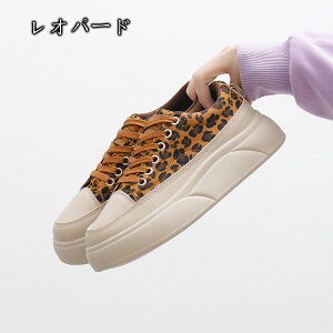  Xj[J[ Xj[J[ fB[X C\[Xj[J[ IVXj[J[ C H~ ʊw nCJbg ₷ ꂢ  4.5cm ؍ אg  Cq[Xj[J