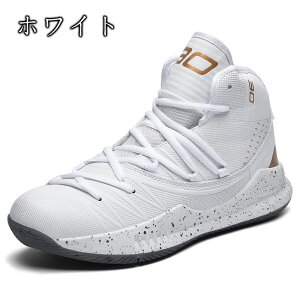 Xj[J[ oXPbg{[V[Y oXPbgV[Y oXP Xj[J[ WjA oXPbg{[V[Y X|[c AEghA Ռz ^C ʊwC ~ ʋC h ʋC 