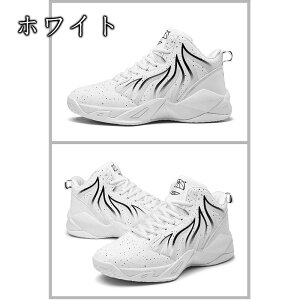 Xj[J[ oXPbg{[V[Y oXPbgV[Y oXP Xj[J[ WjA oXPbg{[V[Y X|[c AEghA Ռz ^C ʊwC ~ ʋC h ʋC 