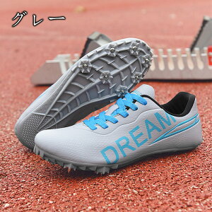 XpCN Y fB[X ㋣ZpV[Y V[Y j̎q ㋣Zpg[jOV[Y ^Z n[h/_/Oi/ Z   jp S