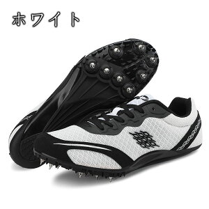 XpCN Y fB[X ㋣ZpV[Y V[Y j̎q ㋣Zpg[jOV[Y ^Z n[h/_/Oi/ Z   jp S