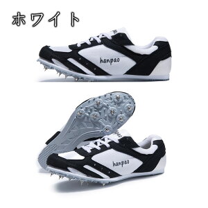 XpCN Y fB[X ㋣ZpV[Y V[Y j̎q ㋣Zpg[jOV[Y ^Z n[h/_/Oi/ Z   jp S