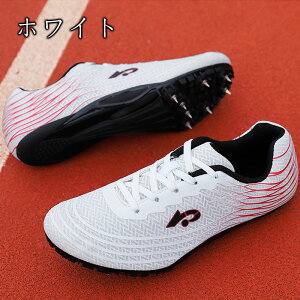 XpCN Y fB[X ㋣ZpV[Y V[Y j̎q ㋣Zpg[jOV[Y ^Z n[h/_/Oi/ Z   jp S
