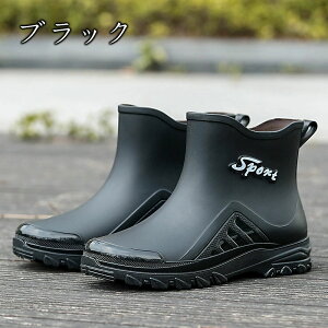 Cu[c V[g V[g CV[Y Y C Sh  V[g C AEghA Ȃ JC EhgD y IV ₷ h ނ  ₷ L 