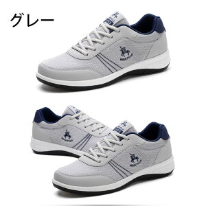 StV[Y Y C XpCNX St bV 3E _炩 ~ EH[LOV[Y X|[cV[Y ϋv L j h\[ bV K ϖՐ ₷ 