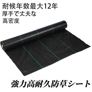 hV[g ͖hV[g Gh~V[g ϋv V[g G΍  _Ɨp | ؉  |p ؍͔| ؍ _Ǝ K[fjO ƒ؉ |pi | |