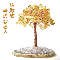 楽天市場】金運の木の通販
