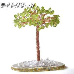 u  ̐ u NX^Xg[ p[Xg[ VR   N J^ K^ ^ N^ d^ ^ ^ ɐF ґz    