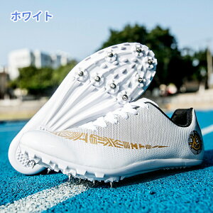 Y㋣ZpV[Y fB[X㋣ZpV[Y ㋣ZpV[YXpCNvjOV[YjZbNXCg  Kp Z   C jp 22.5cm-27