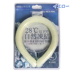 lbNoh lbNN[[ ⊴ApAAEghA O lbNN[ MǑ΍ R ⊴ Ђ p`[u JԂgp\ ΍ ʋ ʊw X|[cϐ AEgh