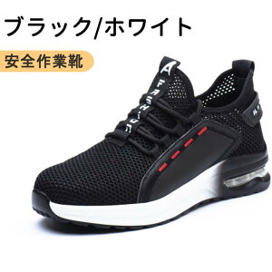 SC ƗpC teB[V[Y [Nu[c ƌC |c Y fB[X ܐی GWjAu[c U[u[c C_[ ϊ ʋC ~ jp 23.0cm-28.0cm JIS Ax