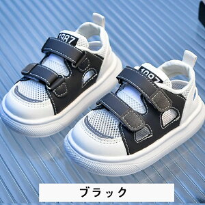 xr[V[Y xr[V[Y@LoXV[Y xr[t@bV xr[ Xj[J[ V[Y v[g j j̎q ̎q LoX Vv LbY q xr[C xr[