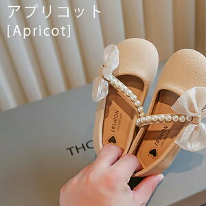 [t@[ LbY tH[}V[Y ̎q qC vC V[Y tH[}C XN[[t@[ q hXV[Y sAm\ C WjA xr[ w w ʊw w 