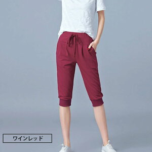 W[W pc fB[X n[tpc V[g  Zp {gX  Y{ n 5 ̌^Jo[ [EFA X|[cEFA [pc tBbglXEFA _X X