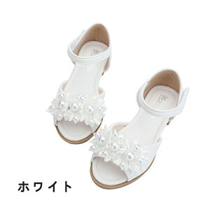 qT_ tH[}T_ ǂT_ LbY  ₷ Sn  q  \  Ǝ w 