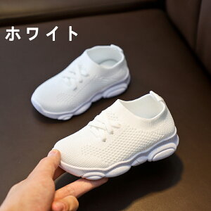 xr[V[Y LbYV[Y bV ʋĈ悢 V[Y xr[ LbY t@[XgV[Y ̎q j̎q g[jOV[Y [V[Y xr[C aj 蕨 Mt