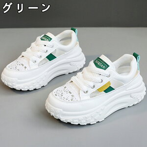 Xj[J[ fB[X V[Y C Xj[J[ fB[Xpv bV gAbv ^C u[c +5cmUP ʋC ~  h r EhgD  킢 JW