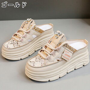 T_ fB[X V[Y C [Jbg T_ Xb| fB[Xpv  gAbv ^C u[c +5cmUP }[eBu[c ʋC ~  h r 