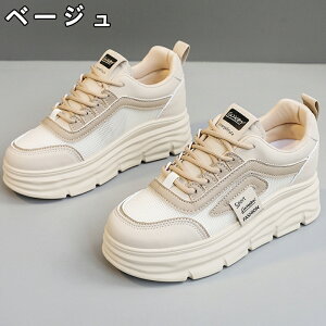 Xj[J[ fB[X Xj[J[ fB[Xpv  gAbv ^C u[c +5cmUP ʋC ~  h r EhgD  킢 JWA ʋ X