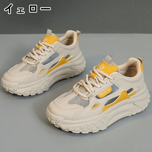 Xj[J[ fB[X Xj[J[ V[Y C fB[Xpv  gAbv ^C u[c +5cmUP ʋC ~  h r EhgD  킢 JWA