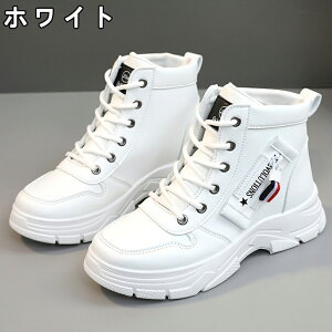 Xj[J[ fB[X Xj[J[ V[Y C fB[Xpv  gAbv ^C u[c +4cmUP }[eBu[c ʋC ~  h r EhgD  