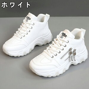 Xj[J[ fB[X Xj[J[ V[Y C fB[Xpv  gAbv ^C u[c t@Xi[ +5cmUP ʋC ~  h r EhgD  킢