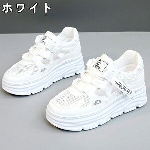 Xj[J[ fB[X Xj[J[ V[Y C fB[Xpv  gAbv ^C u[c bV +5cmUP ʋC ~  h r EhgD  킢 