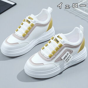 Xj[J[ fB[X Xj[J[ V[Y C fB[Xpv  gAbv ^C u[c +4cmUP ʋC ~  h r EhgD  킢 JWA