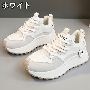 Xj[J[ fB[X Xj[J[ fB[Xpv  gAbv ^C u[c +5cmUP ʋC ~  h r EhgD  킢 JWA ʋ X