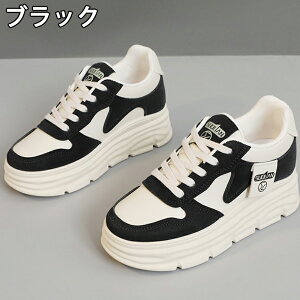 Xj[J[ fB[X Xj[J[ fB[Xpv  gAbv ^C u[c +5cmUP ܐی ʋC ~  h r EhgD  킢 JWA 
