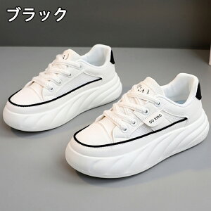 Xj[J[ fB[X Xj[J[ fB[Xpv  gAbv ^C u[c +4cmUP ܐی ʋC ~  h r EhgD  킢 JWA 