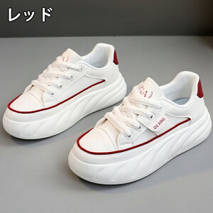 Xj[J[ fB[X Xj[J[ fB[Xpv  gAbv ^C u[c +4cmUP ܐی ʋC ~  h r EhgD  킢 JWA 