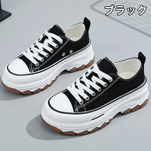 Xj[J[ fB[X Xj[J[ fB[XpvX gAbv ^C u[c +5cmUP ʋCQ ~  h y r EhgD  킢 JWA ʋ 