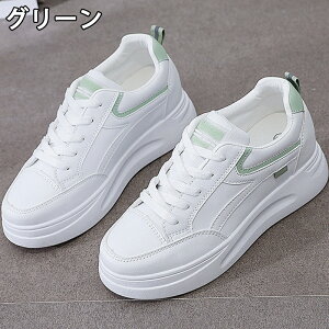 Xj[J[ fB[X Xj[J[ fB[Xpv  gAbv ^C u[c +5cmUP ʋC ~  h y r EhgD  킢 JWA ʋ 