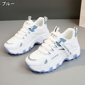 Xj[J[ fB[X Xj[J[ fB[XpvX gAbv ^C u[c +5cmUP ʋC ~  h y r EhgD  킢 JWA ʋ ʊw