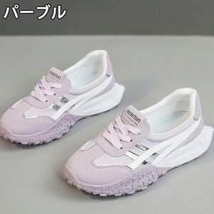 Xj[J[ fB[X Xj[J[ fB[Xpv  gAbv ^C u[c +5.5cmUP tHXgEKvC ʋC ~  h y r EhgD  