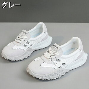 Xj[J[ fB[X Xj[J[ fB[Xpv  gAbv ^C u[c +5.5cmUP tHXgEKvC ʋC ~  h y r EhgD  