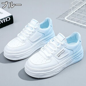 Xj[J[ fB[X Xj[J[ fB[Xpv  gAbv ^C u[c Of[V +4cmUP ܐی ʋC ~  h r EhgD  