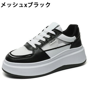 Xj[J[ fB[X Xj[J[ fB[XpvX gAbv ^C u[c +5cmUP ʋCQ ~  h y r EhgD  킢 JWA ʋ 