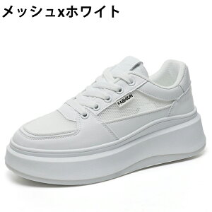 Xj[J[ fB[X Xj[J[ fB[XpvX gAbv ^C u[c +5cmUP ʋCQ ~  h y r EhgD  킢 JWA ʋ 