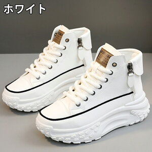 Xj[J[ fB[X Xj[J[ fB[XpvX gAbv ^C u[c +5cmUP ʋCQ ~  h y r EhgD  킢 JWA ʋ 