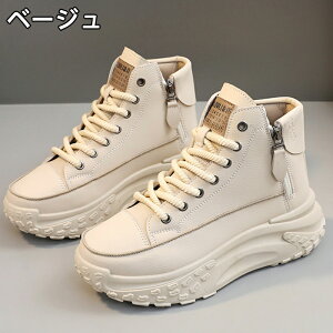 Xj[J[ fB[X Xj[J[ fB[XpvX gAbv ^C u[c +5cmUP ʋCQ ~  h y r EhgD  킢 JWA ʋ 