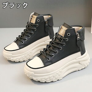 Xj[J[ fB[X Xj[J[ fB[XpvX gAbv ^C u[c +5cmUP ʋCQ ~  h y r EhgD  킢 JWA ʋ 